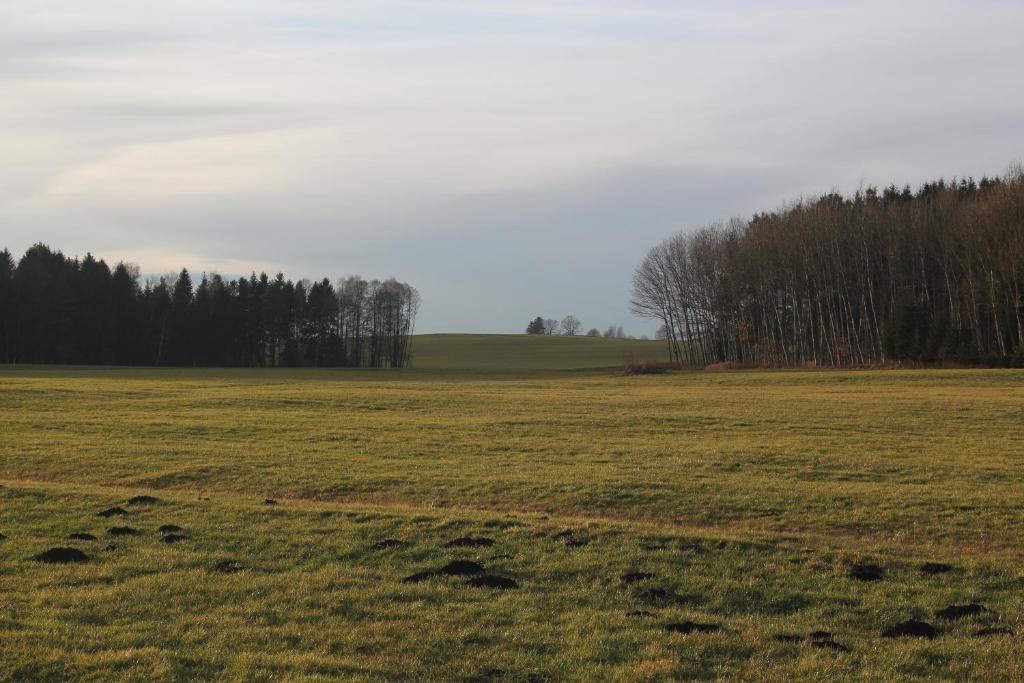 Gasthof Landhotel Hirsch Ostrach Exteriör bild