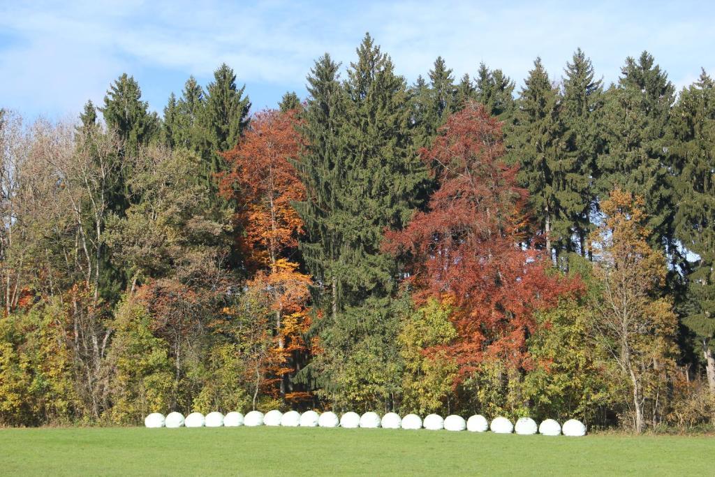 Gasthof Landhotel Hirsch Ostrach Exteriör bild